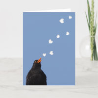Amsel-Liebe-Lied-Karte