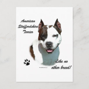 AmStaff wie keine andere Rasse Postkarte