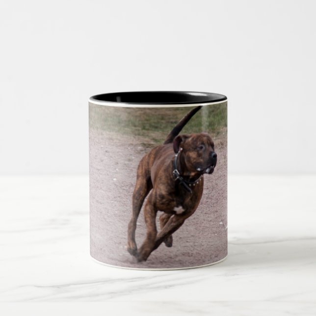 Amstaff Zweifarbige Tasse (Mittel)