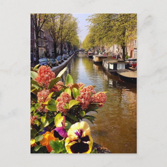 Amsterdam Canal Sunny Fall Day Bloemgracht Postkarte (Vorderseite)