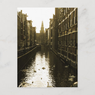 Amsterdam Canal Swans Foto Postcard Postkarte