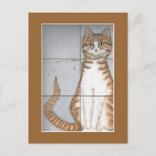 Amsterdam Cat Postcard Postkarte