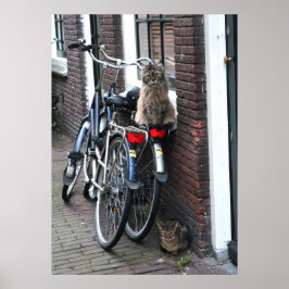 Amsterdam Katzen auf dem Foto Fahrräder Poster