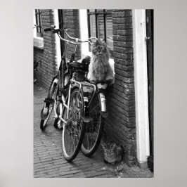 Amsterdam Katzen auf Fahrrädern Schwarzweiß-Foto Poster