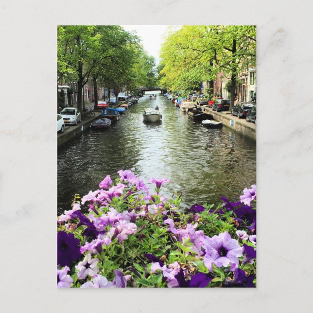 Amsterdam Summer Canal Postkarte (Vorderseite)