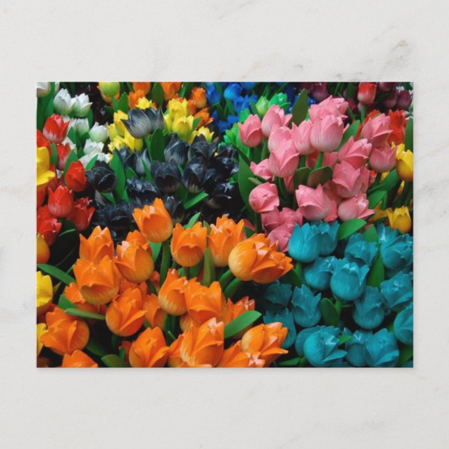 Amsterdam Tulips Postkarte (Vorderseite)