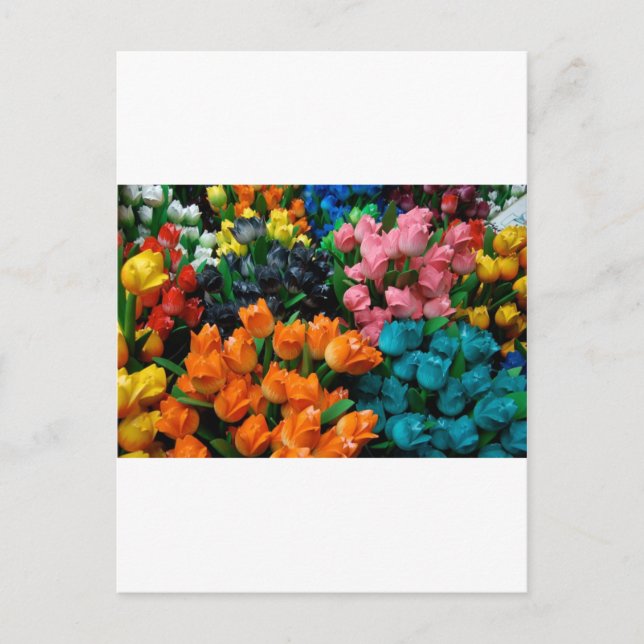 Amsterdam Tulips Postkarte (Vorderseite)