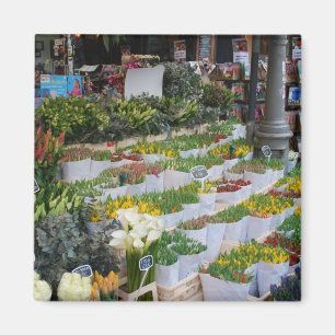 Amsterdam-Tulpe-Markt Magnet