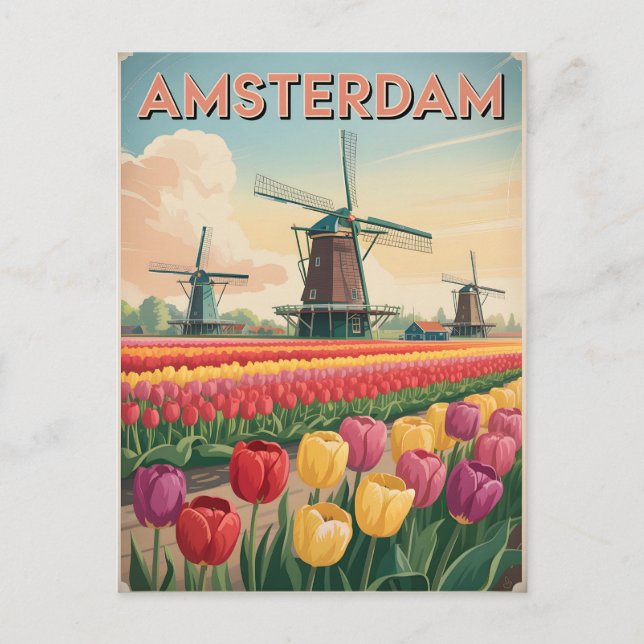 Amsterdamer Tulpenfeld Vintag Postkarte (Vorderseite)