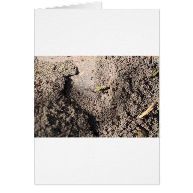 Amts Go Marching (Vorne)