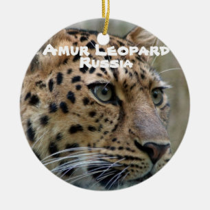 Amur Leopard, gefährdete Arten Keramik Ornament