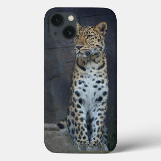 Amur-Leopard iPhone 6 Fall iPhone 13 Hülle