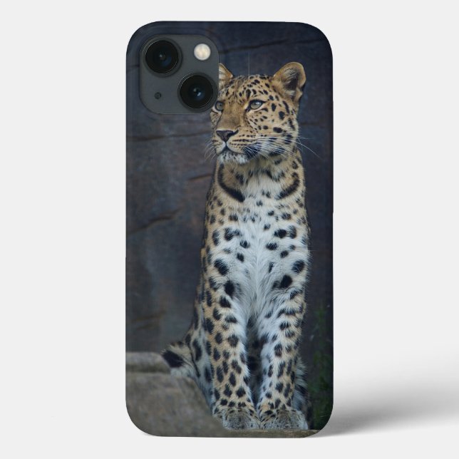 Amur-Leopard iPhone 6 Fall Case-Mate iPhone Hülle (Rückseite)