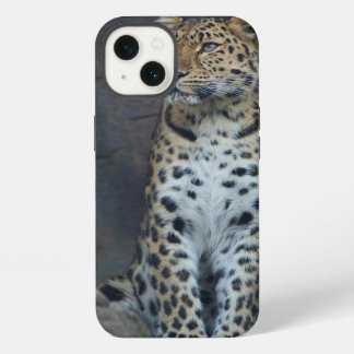 Amur-Leopard iPhone 6 Fall Hülle
