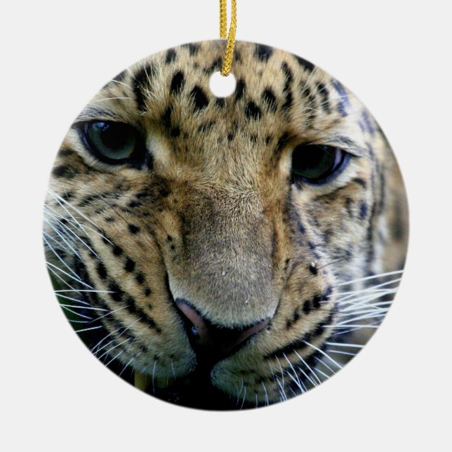 Amur-Leopard-Verzierungen Keramikornament (Vorne)
