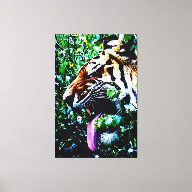 Amur Tiger 40x60 (100x150cm) Waccnm Leinwanddruck (Vorderseite)