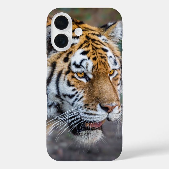 Amur tiger Case-Mate iPhone hülle (Rückseite)