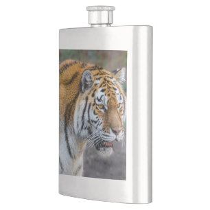 Amur tiger flachmann