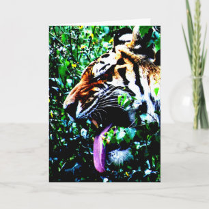 Amur Tiger gccna Karte