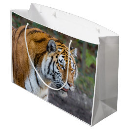Amur tiger große geschenktüte