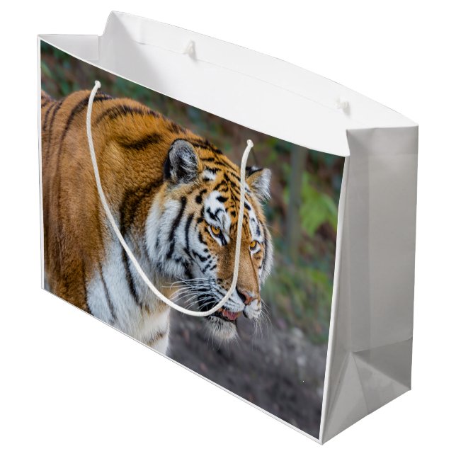 Amur tiger große geschenktüte (Rückseite Schrägansicht)