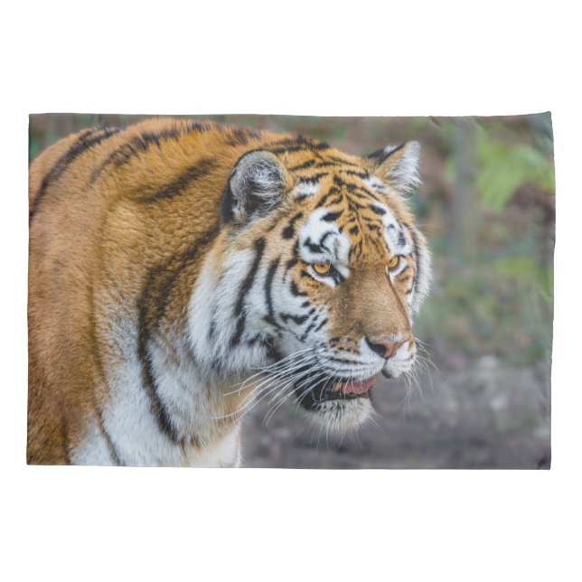 Amur tiger kissenbezug (Rückseite)