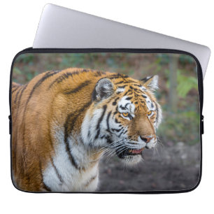 Amur tiger laptopschutzhülle