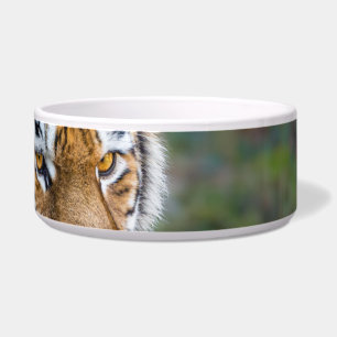 Amur tiger napf