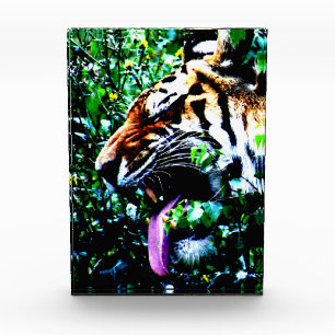 Amur Tiger pbcna Fotoblock