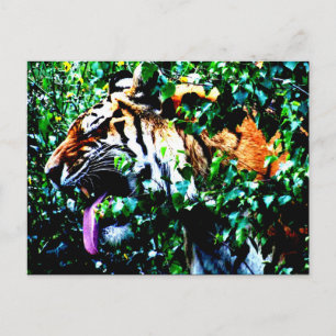 Amur Tiger pc arc4 Postkarte