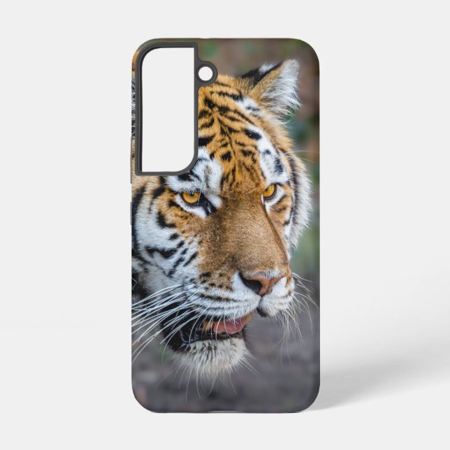 Amur tiger samsung galaxy hülle (Rückseite)