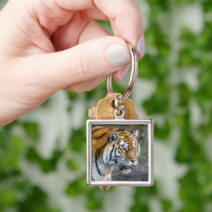 Amur tiger schlüsselanhänger