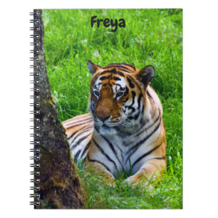Amur Tiger Spiral Notebook Notizblock