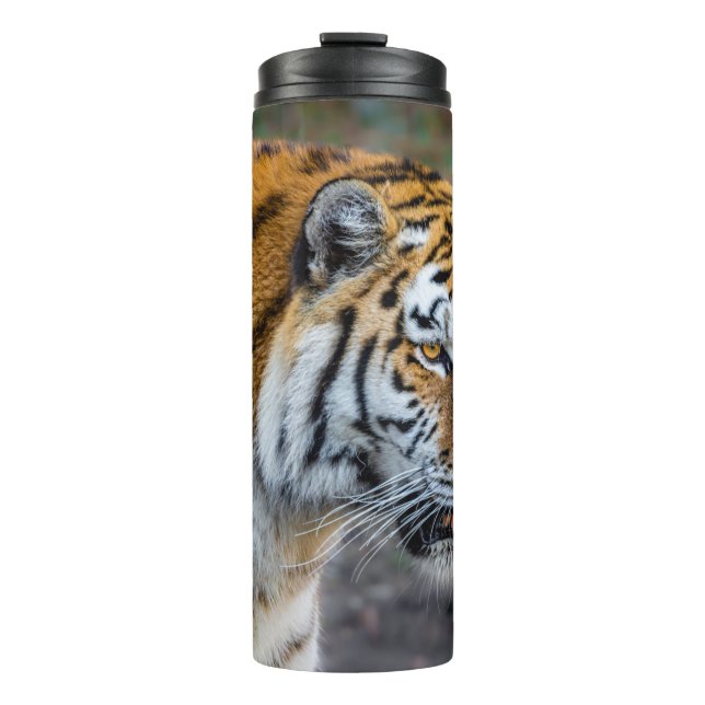 Amur tiger thermosbecher (Vorderseite)
