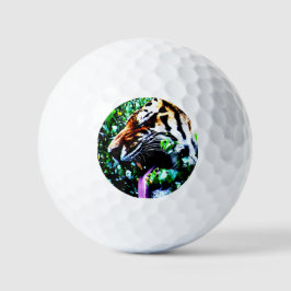 Amur Tiger va gbcnm Golfball