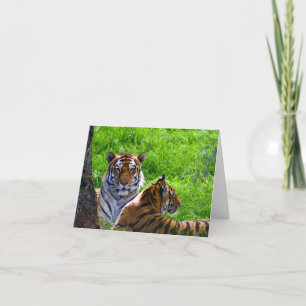 Amur Tigers Grußkarte Karte