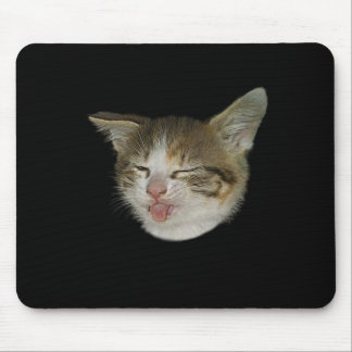 Amüsierendes Gesicht niedlichen Kätzchens, das Mousepad