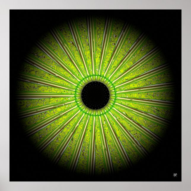 Amüsierte Pflanze Poster (Vorne)