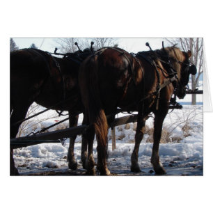 An der Hitching Post