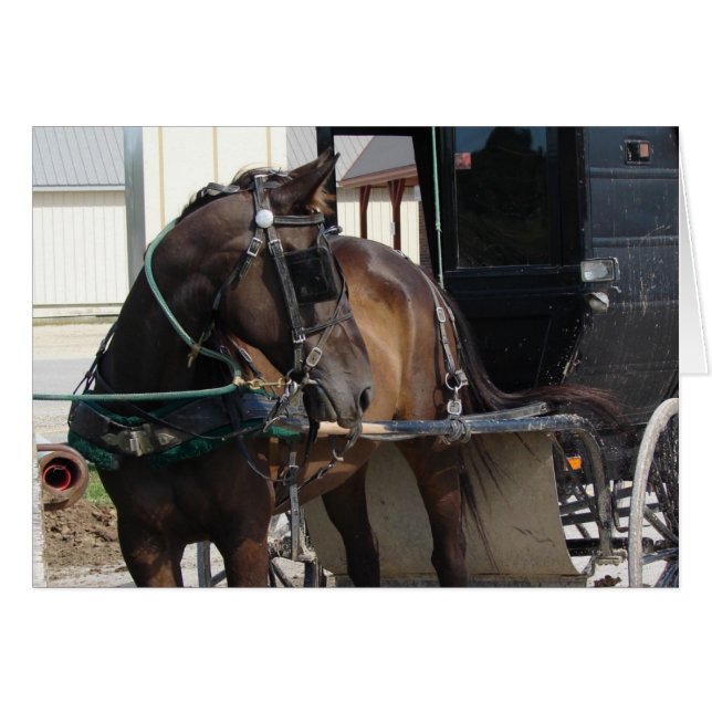 An der Hitching Post (Vorderseite (Horizontal))