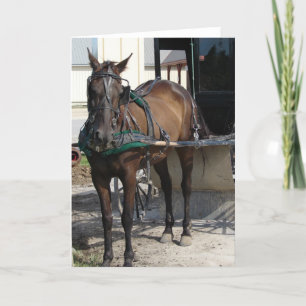 An der Hitching Post Karte