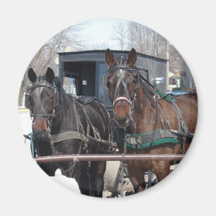 An der Hitching Post Magnet