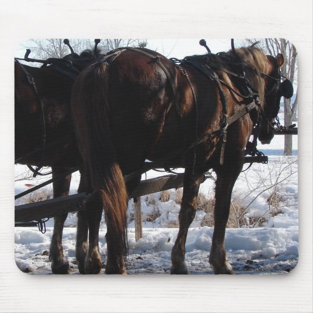 An der Hitching Post Mousepad (Vorne)