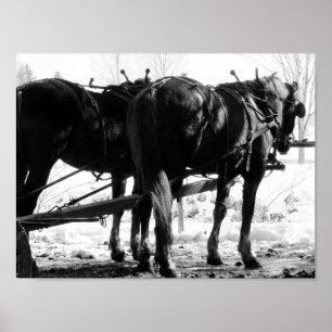 An der Hitching Post Poster