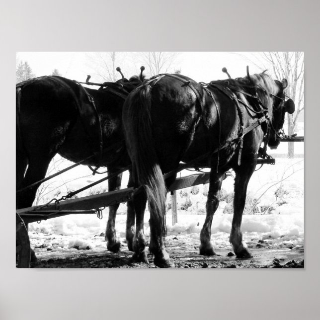 An der Hitching Post Poster (Vorne)