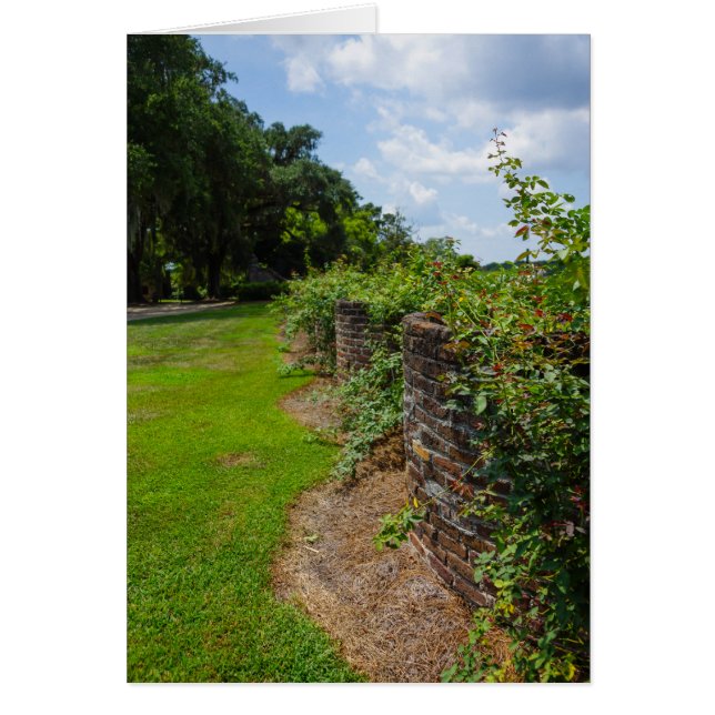 An der kurvenreichen Mauer (Vorne)