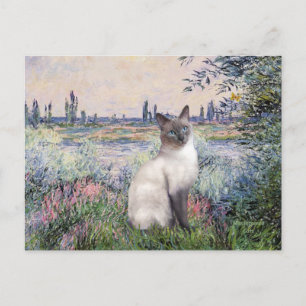An der Seine - Blaue-Point-Katze Postkarte