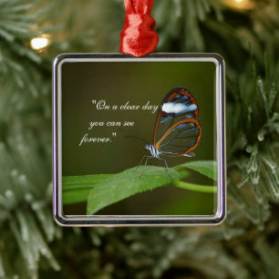 "An einem vollen Tag" Glasswing Silbernes Ornament