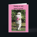 AN FLOWER AND BIRTHDAY WISH CARD KARTE<br><div class="desc">FLOWER IS ALWAYS NICE BUT FROM MOLY IT IS EVEN NICER. LET YOUR ***FRIEND OR FAMILY MEMBER*** KNOW YOUR LOVE FOR HIM OR HER WITH THIS CUTE AND HUMOROUS BIRTHDAY CARD TODAY:) THANK YOU FOR STOPPING BY ONE OF MY EIGHT STORES!</div>