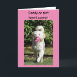 AN FLOWER AND BIRTHDAY WISH CARD KARTE<br><div class="desc">FLOWER IS ALWAYS NICE BUT FROM MOLY IT IS EVEN NICER. LET YOUR ***FRIEND OR FAMILY MEMBER*** KNOW YOUR LOVE FOR HIM OR HER WITH THIS CUTE AND HUMOROUS BIRTHDAY CARD TODAY:) THANK YOU FOR STOPPING BY ONE OF MY EIGHT STORES!</div>